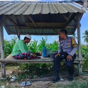 Bhabinkamtibmas Eyat Mayang Dukung Petani Jagung untuk Ketahanan Pangan Nasional