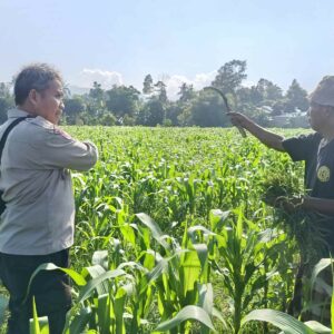 Bhabinkamtibmas Desa Sandik Dorong Warga Perkuat Swasembada Pangan