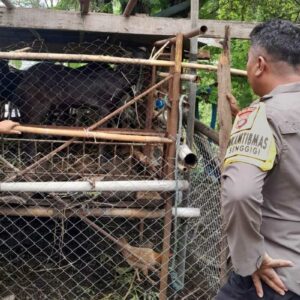 Bhabinkamtibmas Senggigi Dorong Warga Krandangan Manfaatkan Lahan Kosong untuk Ketahanan Pangan