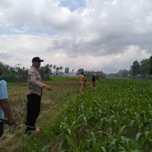 Polsek Kediri Dampingi Petani Desa Lelede Tingkatkan Ketahanan Pangan