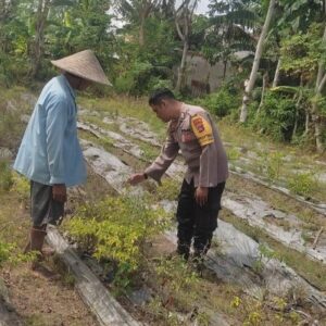 Bhabinkamtibmas Desa Kuranji Ajak Warga Manfaatkan Lahan Kosong untuk Ketahanan Pangan