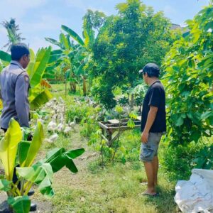 Polsek Labuapi Dorong Warga Desa Bajur Tanam Sayur di Pekarangan