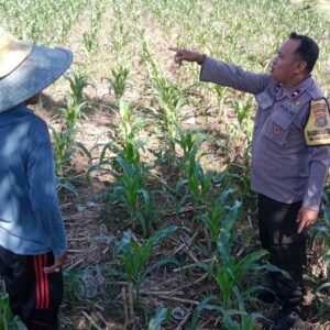 Bhabinkamtibmas Desa Bagik Polak Barat Dorong Petani Manfaatkan Lahan Kosong