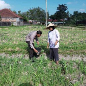 Bhabinkamtibmas Kuripan Dorong Warga Manfaatkan Pekarangan untuk Ketahanan Pangan