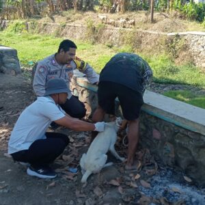 Bhabinkamtibmas Polres Bima Kota Dampingi Tim Vaksinasi Anjing Rabies di Kelurahan Kendo