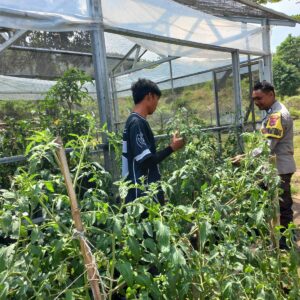 BHABINKAMTIBMAS TONGO DAMPINGI WARGA KELOLA LAHAN PEKARANGAN UNTUK PANGAN BERGIZI