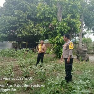 Panit Binmas Polsek Alas Gencarkan Program Ketahanan Pangan di Desa Dalam