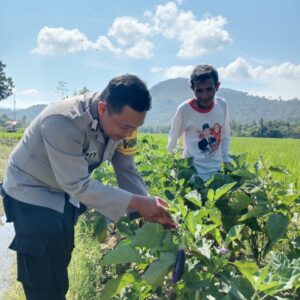 BHABINKAMTIBMAS DESA MOTENG DAMPINGI MASYARAKAT KELOLA LAHAN PANGAN KREATIF