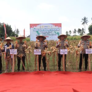 Kapolres Loteng Dampingi Kapolda NTB Panen Raya Jagung Serentak Kuartal III di Batukliang. ‎ ‎