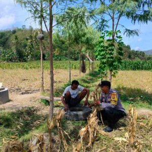 Bhabinkamtibmas Eyat Mayang Dukung Petani Jagung, Perkuat Ketahanan Pangan di Lembar