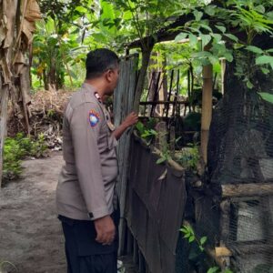 Bhabinkamtibmas Desa Senggigi Dorong Ketahanan Pangan Warga Krandangan