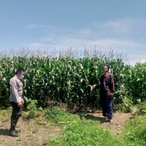 Bhabinkamtibmas Jagaraga Ajak Warga Manfaatkan Lahan untuk Ketahanan Pangan