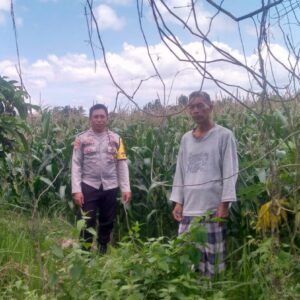 Polsek Kuripan Gencarkan Program Ketahanan Pangan di Desa Jagaraga, Lombok Barat