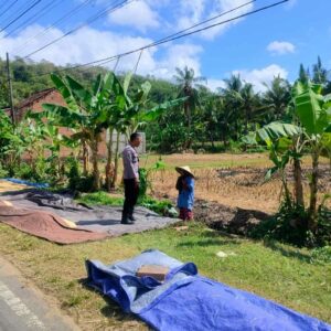 Bhabinkamtibmas Eyat Mayang Dukung Petani Lembar Jaga Ketahanan Pangan