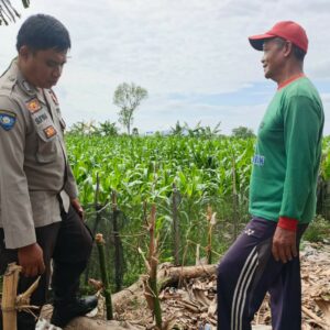 Sinergi Polsek Kediri dan Petani Banyumulek Perkuat Program Ketahanan Pangan