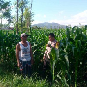 Polsek Kuripan Ajak Warga Desa Jagaraga Kembangkan Pertanian Produktif