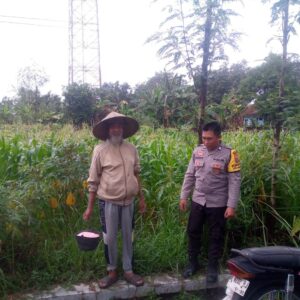 Ketahanan Pangan Desa Jagaraga: Peran Bhabinkamtibmas Dorong Produktivitas Lahan