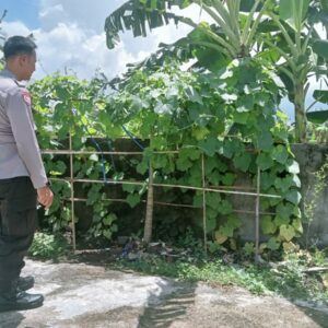 Pekarangan Produktif di Desa Perampuan: Langkah Bhabinkamtibmas Labuapi Wujudkan Kemandirian Pangan
