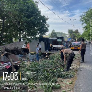 Polres Sumbawa Turun Tangan Atasi Pohon Tumbang di Brang Biji
