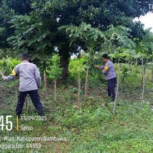 Sinergi Bhabinkamtibmas dan Warga Sumbawa, Wujudkan Ketahanan Pangan Nasional