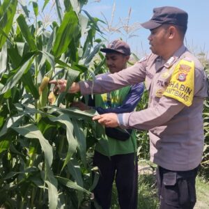 Sinergi Polri dan Petani Wujudkan Ketahanan Pangan Menuju Indonesia Emas 2045