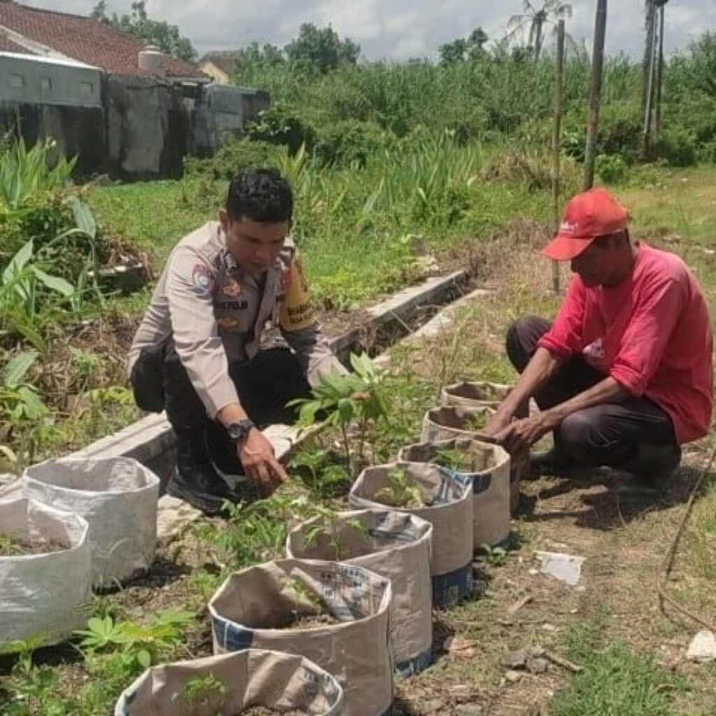 Sinergi Polsek Labuapi dan Warga Mapak Reong Dorong Pemanfaatan Pekarangan Produktif