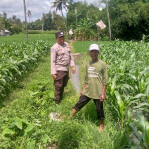 Polres Lombok Barat Gerakkan Warga Desa Jagaraga Menanam Jagung