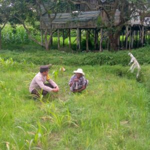 Ketahanan Pangan Desa: Bhabinkamtibmas Jagaraga Edukasi Warga Dasan Geres Pande Manfaatkan Lahan Produktif