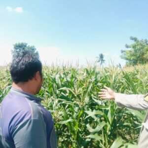 Polsek Labuapi Dorong Warga Desa Labuapi Manfaatkan Lahan Kosong untuk Ketahanan Pangan