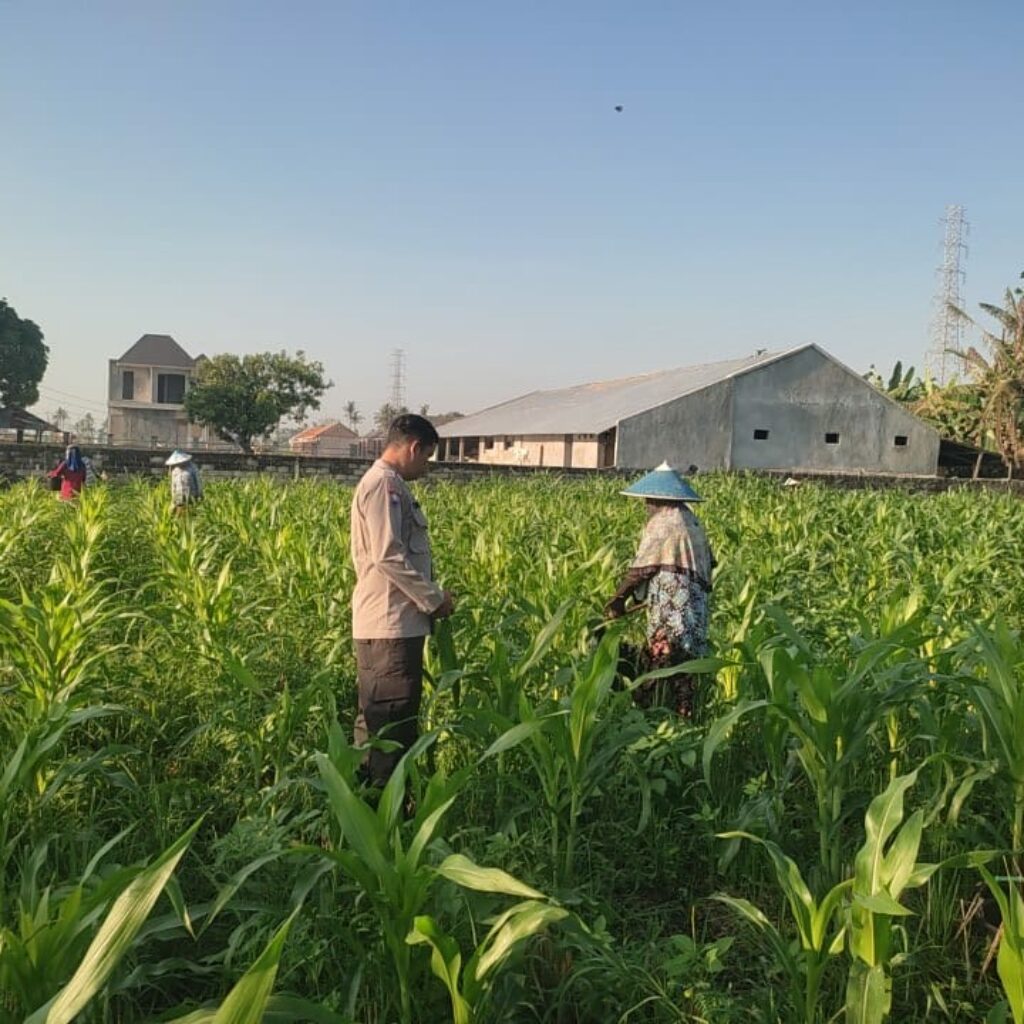 Bhabinkamtibmas Desa Kuranji Dorong Warga Manfaatkan Lahan Kosong untuk Ketahanan Pangan