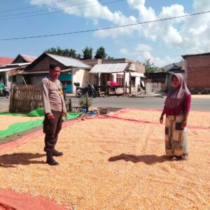 Bhabinkamtibmas Cempi Jaya Pantau Hasil Panen Warga, Dorong Semangat Ketahanan Pangan