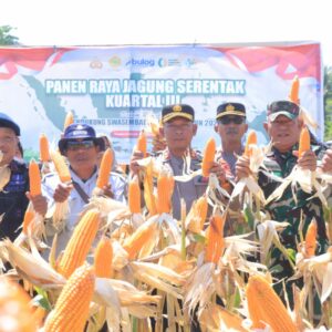 Kapolres Pimpin Langsung Kegiatan Panen Raya Jagung Kuartal III, Bersinergi Bersama Wujudkan Ketahanan Pangan