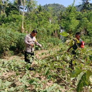 Sinergi Polri dan Warga: Bhabinkamtibmas Moteng Kawal Program Ketahanan Pangan Nasional