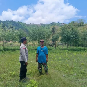Bhabinkamtibmas Sekotong Barat Dorong Warga Tanam Jagung di Musim Hujan