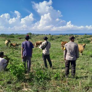 dukung program pemerintah di bidang kesehatan dan ketertiban hewan, Bhabinkamtibmas Desa Talonang laksanakan pendampingan kegiatan vaksinasi dan registrasi hewan ternak