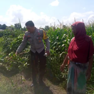 Bhabinkamtibmas Kuripan Dorong Warga Mandiri Pangan