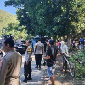 Semarak Karapan Kerbau Meriahkan Festival Budaya Pesona Tamekan 2025 di Sumbawa Barat