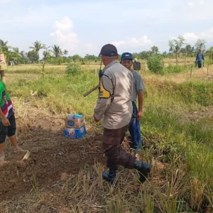 Bhabinkamtibmas Dampingi Petani Jagung Manis di Lombok Barat