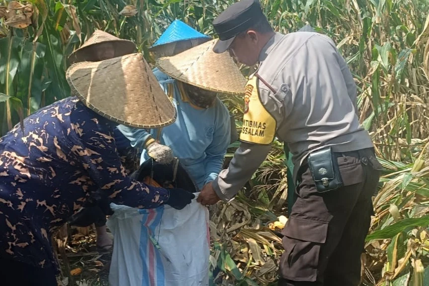 Polres Lombok Barat Kawal Stabilitas Harga Beras untuk Lindungi Warga