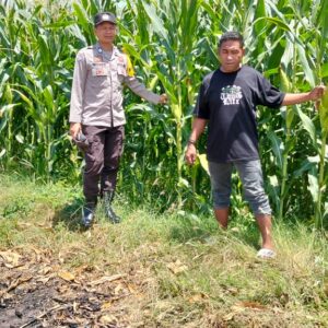 Bhabinkamtibmas Desa Lasi Dampingi Petani Dukung Program Ketahanan Pangan Nasional Menuju Indonesia Emas 2045