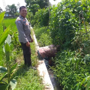 Bhabinkamtibmas Dorong Petani Jagaraga Wujudkan Swasembada Pangan