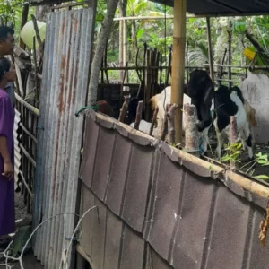 Bhabinkamtibmas Senggigi Ajak Warga Kelola Lahan Kosong Jadi Sumber Pangan
