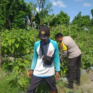 Bhabinkamtibmas Jagaraga Dorong Petani Manfaatkan Lahan Produktif