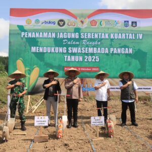 Polres Loteng Tanam Jagung Kuartal IV, Dukung Swasembada Pangan Nasional. ‎