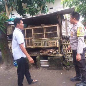 Didorong Bhabinkamtibmas, Warga Mulai Kembangkan Kandang Ayam