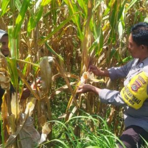 Polri di Lombok Barat Perkuat Ketahanan Pangan Desa