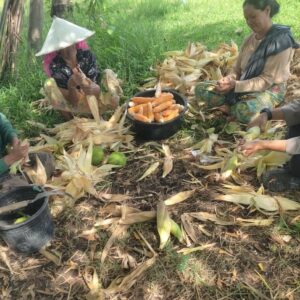 Bhabinkamtibmas Kuranji Dalang Jadi Penjaga Harga Jagung Petani
