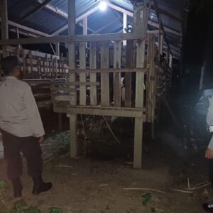 Patroli Dini Hari Polsek Lembar Gagalkan Potensi Curnak di Kandang Kumpul