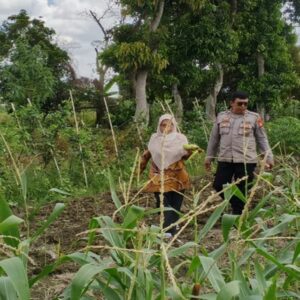Bhabinkamtibmas Labuapi Ajak Warga Telagawaru Manfaatkan Pekarangan