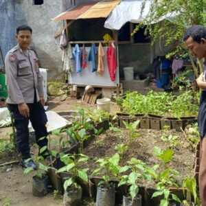 Bhabinkamtibmas Perampuan Dorong Warga Mandiri Pangan